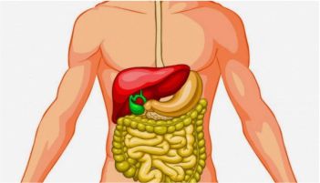Trastornos digestivos funcionales